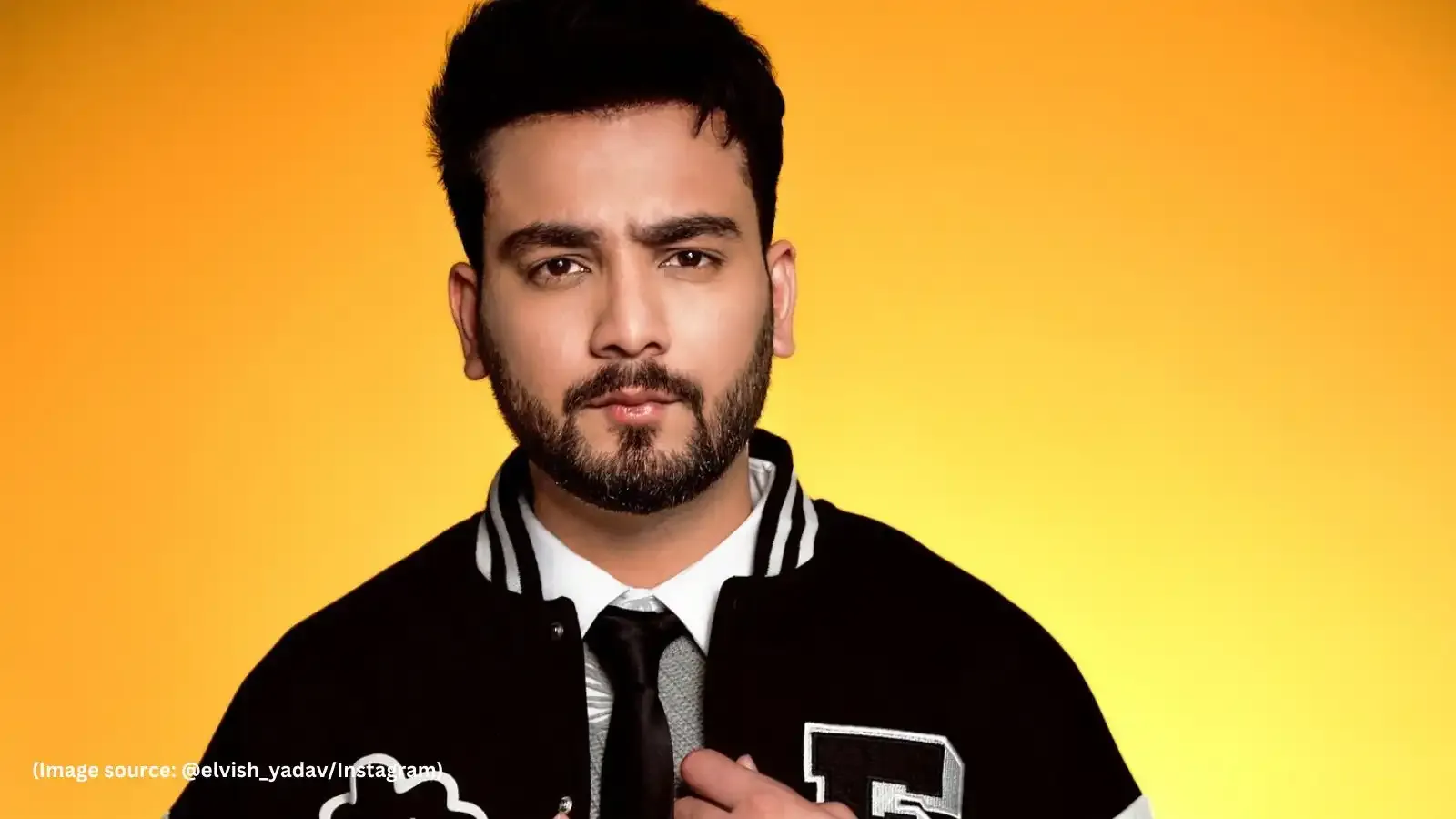 Elvish Yadav, Fazilpuria Charged by ED for Money Laundering Over Wildlife Videos