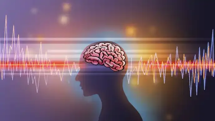 New Study Reveals Human Brain’s True Peak: Cognitive and Emotional Power Surges Between Ages 55 and 75