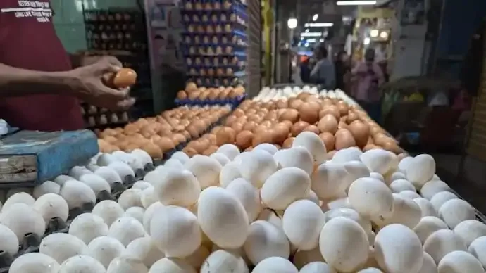 Why Egg Prices Are Crossing Rs 8 in Indian Cities This Winter