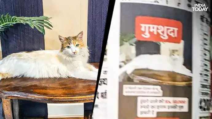 UP Family Offers ₹10,000 Reward to Find Missing Cat ‘Hoor’ in Deoria