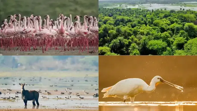 Two Indian Wetlands Added to Ramsar List, India’s Total Rises to 98