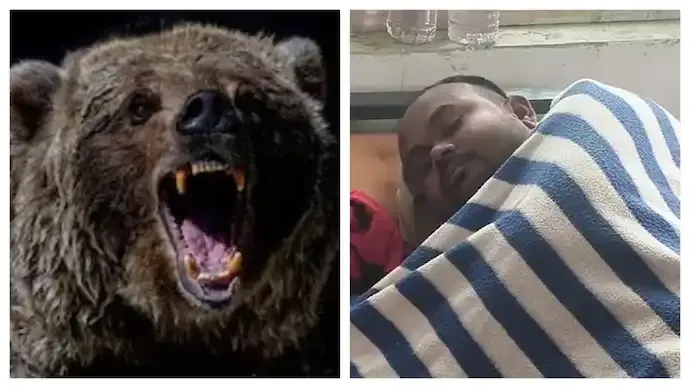 Odisha Woman Fights Off Bear With Axe to Save Husband in Forest Attack