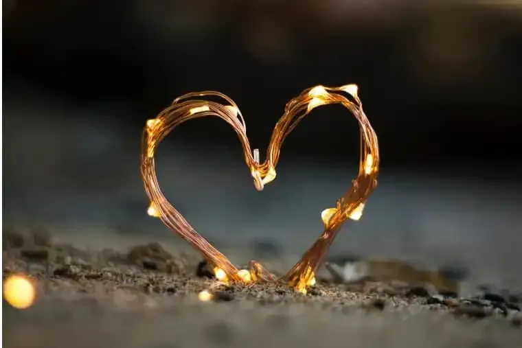 Love Horoscope Today 25 February 2026: Romance Insights for All Zodiac Signs