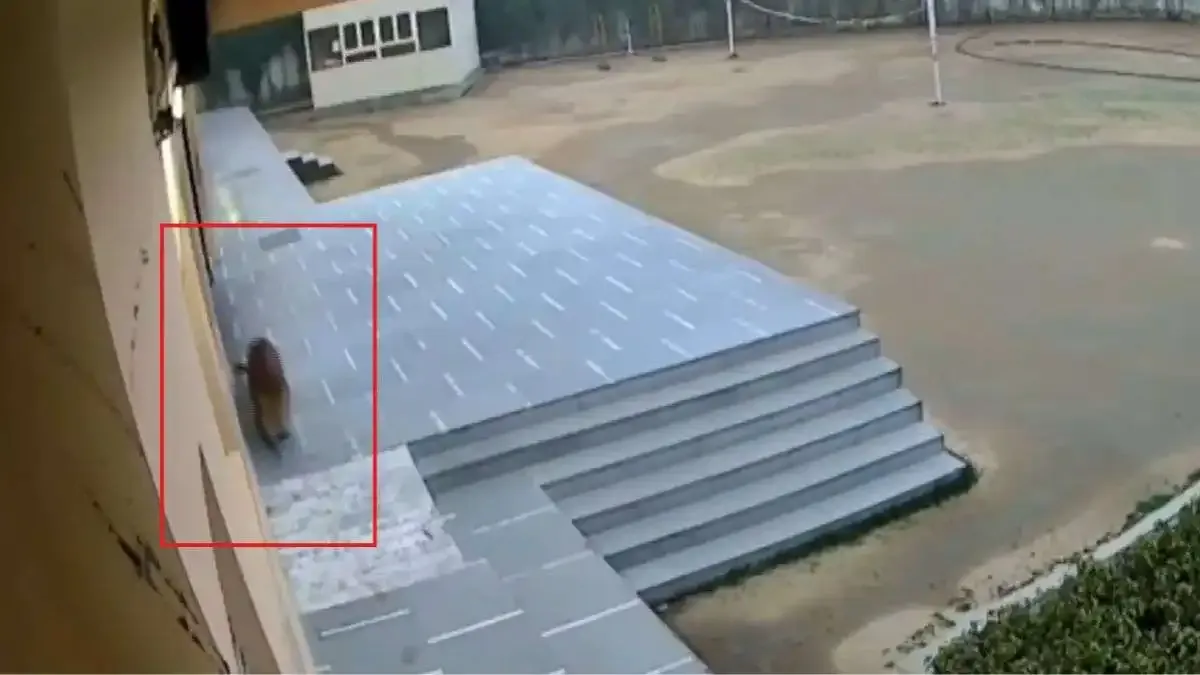 Leopard Rescued After Entering School in Ghaziabad, Holiday Declared