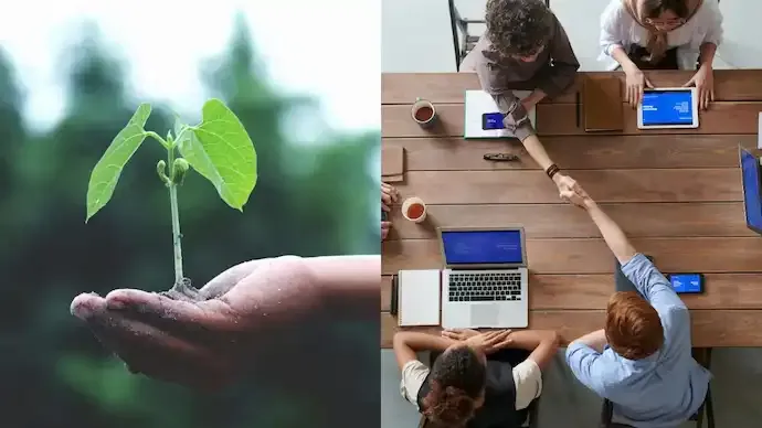 WWF BRIDGE Summer Internship 2026 Opens: Students Can Earn Up to Rs 72,000 Monthly