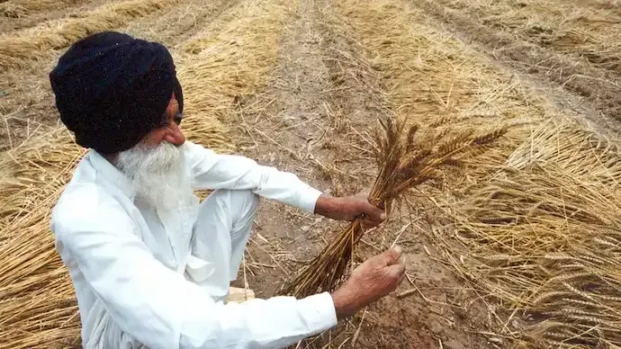 March Rain and Snowfall Impact on Farmers: Benefit or Crop Damage?