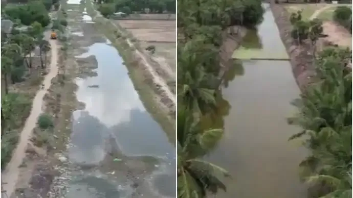Tamil Nadu Canal Revival: 3 Km Stretch Turned into Mangrove Forest in Cuddalore
