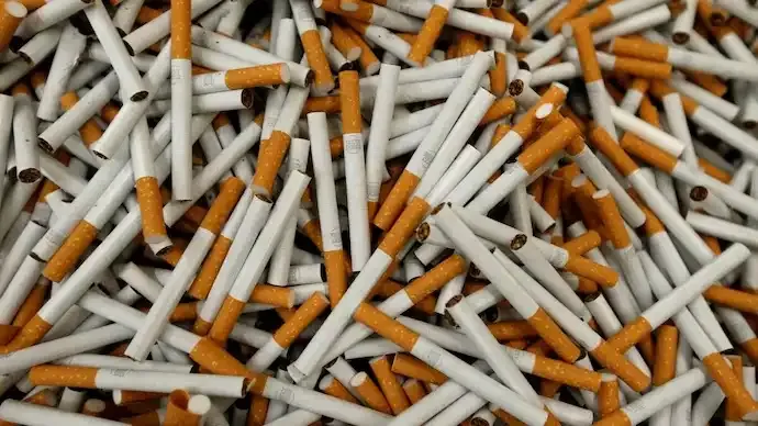 India Tobacco Crisis: Can Jobs and Public Health Be Balanced?