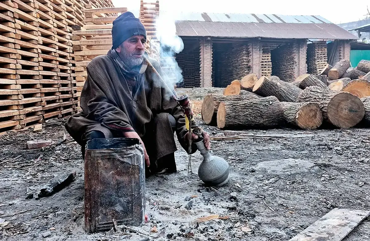 Kashmir Willow Crisis: Climate Change Threatens Cricket Bat Industry and Livelihoods