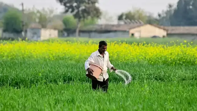 India Urea Shortage Crisis: How Overuse and Global War Trigger Supply Risks