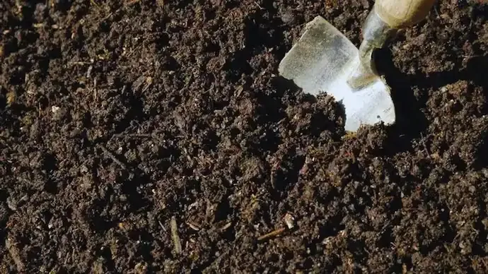 Lead contamination India: Study flags toxic soil levels across Delhi NCR and nearby states