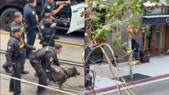 Police Dog Attack in San Diego: K9 Unit Subdues Suspect After Violent Incident