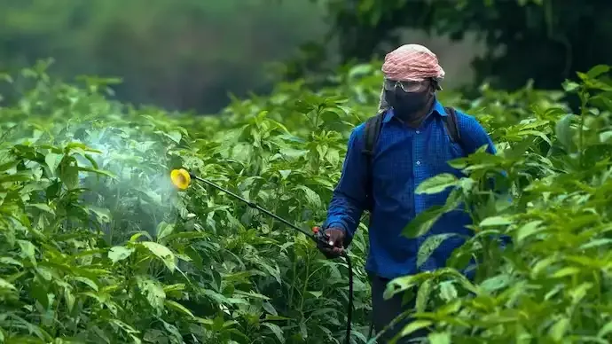 Glyphosate in Imported Pulses: Are Indian Consumers Facing Hidden Health Risks?