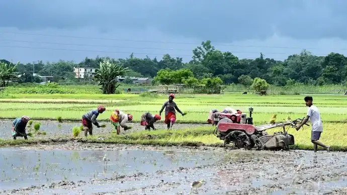 Kharif Sowing Falls 23% as Weak Monsoon Delays Crop Planting Across India