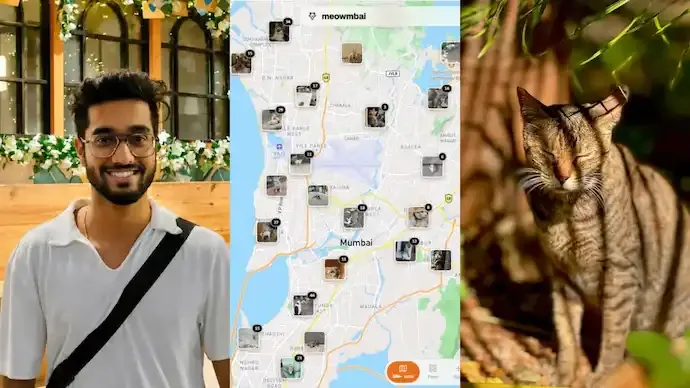 Meet the IITian Behind Meowmbai: How a 25-Year-Old Mapped Mumbai's Street Cats