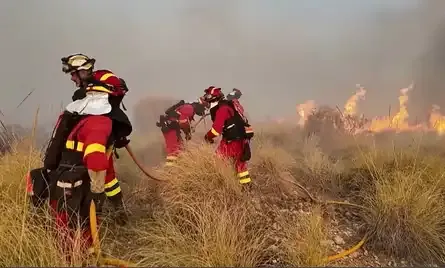 Spain Wildfire Kills 11 in Almeria as Extreme Heat Fuels Deadly Blaze
