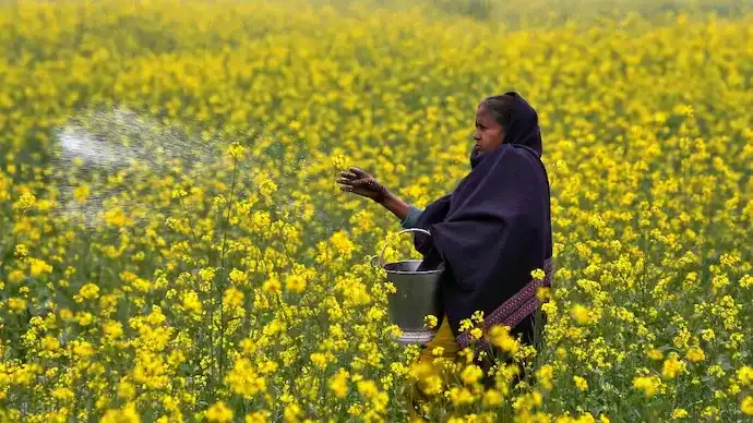 RTI Reveals Centre's Strategy to Protect India from Global Fertiliser Supply Disruptions