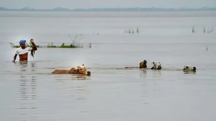 Assam Floods Worsen: Over 57,000 Affected, Army and Air Force on Standby for Rescue