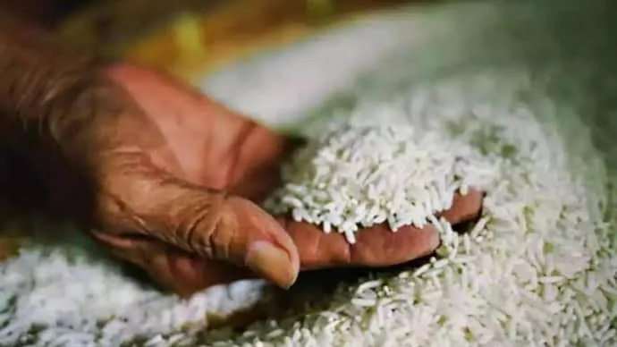 Bags of rice representing Tamil Nadu's subsidised rice scheme offering fine-quality rice at ₹30 per kg.